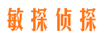 龙亭市调查公司